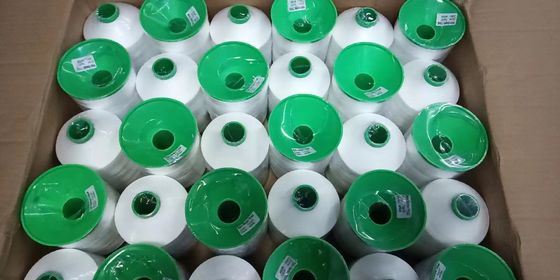 Fireproof High Strength Heat Resistant 210D/3 Sewing Thread With 100% Polyester Yarn