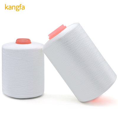 White 150D/3 1.6kg High Tenacity Polyester Yarn Suitable for Various Applications