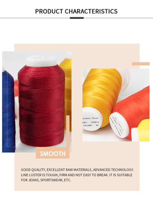 30g 1000Y Filament Multi Color Polyester Embroidery Thread 120d/2 for Embroidery Machine