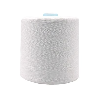 100% Polyester Yarn Free Sample Without Freight And OEM/ODM Support