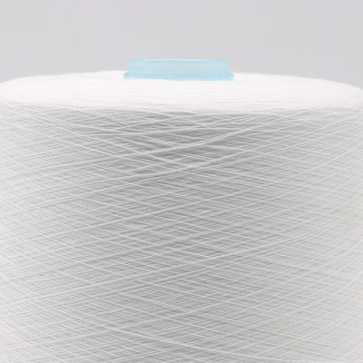 100% Polyester Yarn Free Sample Without Freight And OEM/ODM Support