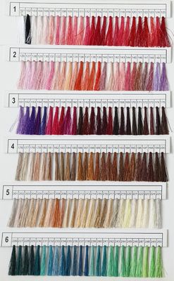 Embroidery Thread Color Cards Book 120g Weight g/ball for Boho Style Necessities