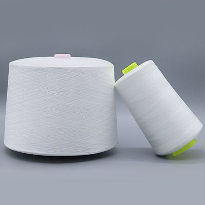 Manufacture Produce 1.25kg Raw White 60/2 Spun Polyester Yarn with Chemical Resistance