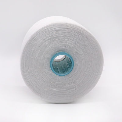 OEM 40/2 20/2 100% Spun Polyester Yarn with Chemical Resistance and 100-500g