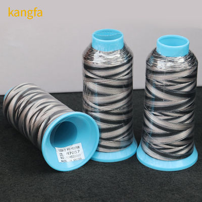 OEM/ODM 96 Colors Variegated Multicolor 100% Polyester Embroidery Thread for Machine Embroidery