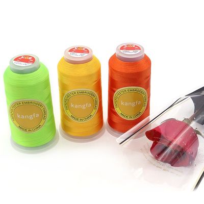 4000y Filament Polyester Embroidery Thread 120d/2 for Machine Embroidery Production