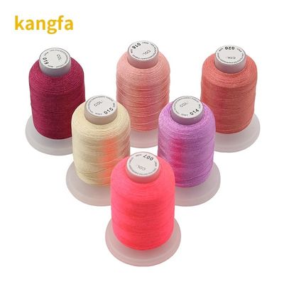 40 Colors 100% Polyester Embroidery Thread Set Kit 120d/2 500m For Quilting Stitching