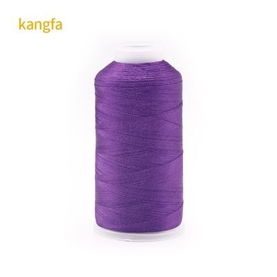 120g Net Weight 120D/2 High Strength Color Fastness Polyester Embroidery Thread for Spot