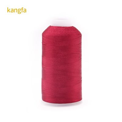 120g Net Weight 120D/2 High Strength Color Fastness Polyester Embroidery Thread for Spot