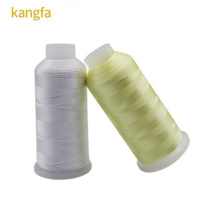 5000Y Length 120D/2 120g Sewing Machine 100% Polyester Wire Embroidery Thread for Gingko